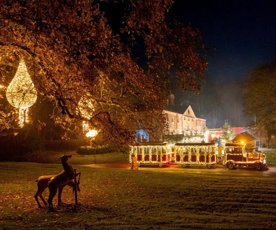 Experience the magic of Winter Wonderland at Westport House. Festive fun for all the family in Mayo.