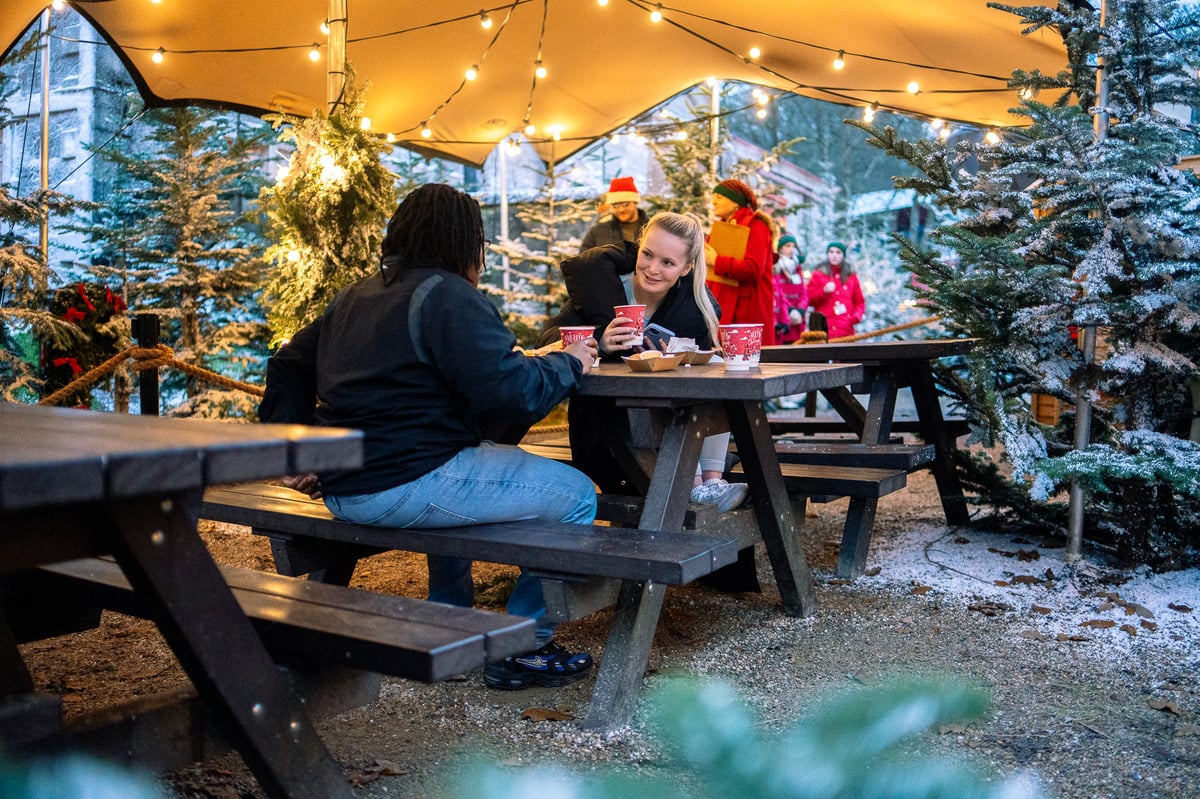 Enjoy the beautiful Christmas lights and festive treats at Westport Estate 